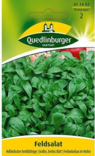 Feldsalat, Holländischer breitblättriger