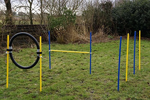 Wuzzmann Trading Agility-Beginner-Set BLAU/GELB