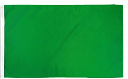 AZ FLAG Bandiera COMMISSARIO di Pista Verde 90x60cm - Gran Bandiera COMMISSARIO di Percorso 60 x 90 cm Poliestere Leggero - Bandiere