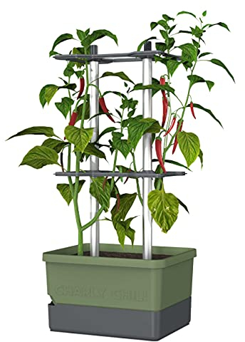 GUSTA GARDEN Charly Chili Chilitopf - Pflanzentopf mit Rankhilfe, Bewässerungssystem & Robustem Rahmen (Dunkelgrün, Regular)