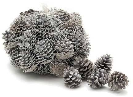 NaDeco Tannenzapfen Weiß, ca. 5-6cm, 1kg, ca. 50 Stück | Weiße Kiefernzapfen | Schwarzkiefern Zapfen | Weiße Zapfen Deko | Pine Cones | Naturzapfen | Weihnachtsdeko | Adventsdeko