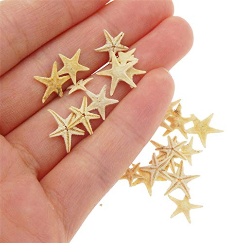 110 Pieces Natural Starfish Tiny Sea Star Micro Landscape Beach Wedding Decoration Nautical Ornament Shells Resin Craft DIY Vase Filler Fish Tank Decor 1cm to 2cm