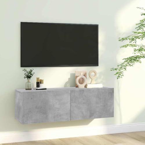 HETFTJN Wand-Lowboard Betongrau 100x30x30 cm aus Holzwerkstoff mit 2 Klapptüren 60 kg belastbar Modernes TV-Sideboard für Wohnzimmer Schlafzimmer