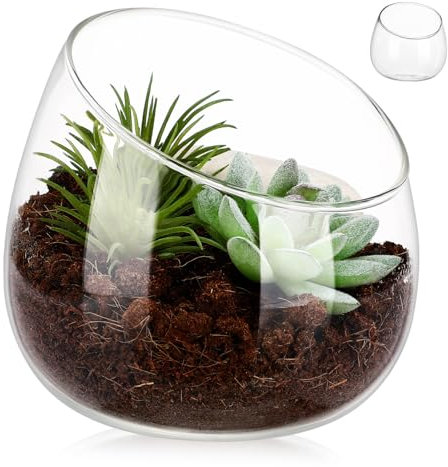 Glas-blumenvase Rund Terrarium Behälter Blumentopf Kleiner Pflanztopf Schale Für Zimmerpflanzen Und Dekoration