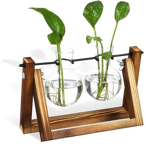 Toddmomy Titel Pflanzen-Terrarium Mit Holzständer Glaskugelvase Als Tischdekoration Pflanzenvermehrungsstation Für Drinnen Und Draußen