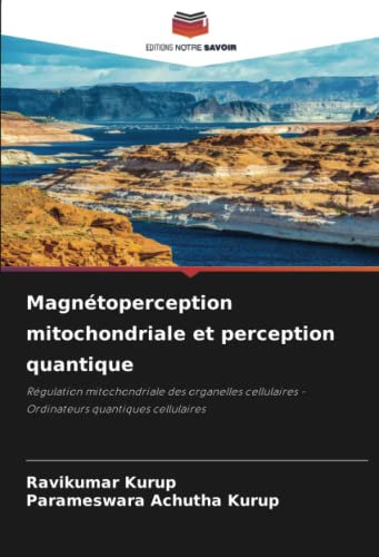 Magnétoperception mitochondriale et perception quantique: Régulation mitochondriale des organelles cellulaires - Ordinateurs quantiques cellulaires