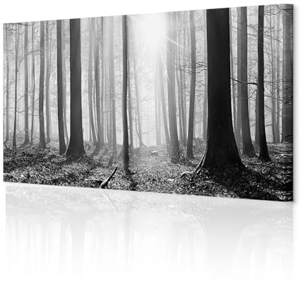 decomonkey Bilder Wald 135x45 cm XXL 1 Teilig Leinwandbilder Wandbild Natur | Strukturleinwand, Holzkeilrahmen, Bild auf Leinwand, Kunstdruck, Wanddeko, Wohnzimmer, Wanddekoration, Landschaft, schwarz
