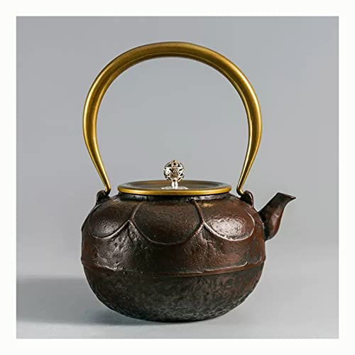 OZBMA Teiera Giapponese in ghisa Teiera in ghisa, teiera in ghisa Non Rivestita in Stile Giapponese Set bollitore da fornello con infusore in Acciaio Inossidabile per caffè (1)