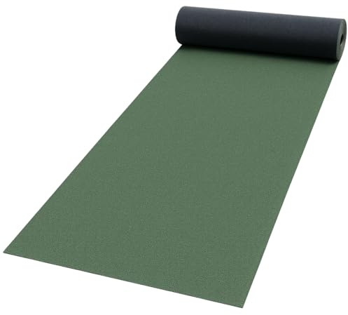 FORTUNATO Guaina Bituminosa Ardesiata CASASCIUTTA Impermeabilizzazione Isolamento Tetti Terrazze Coperture Rotolo 1x10 m (Verde, 1 x 10 m)