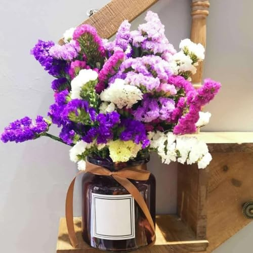 vergissmeinnicht - winterharte garten, gartenblumen vergissmeinnichtsamen deko, blumensamen balkon winterharte kübelpflanzen wildblumen 300samen