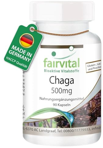 Fairvital | Chaga 500mg VEGAN - Hautement dosé - 90 capsules - Inonotus obliquus - champignon en poudre
