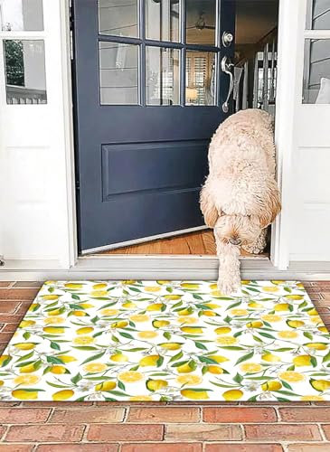 OHJEAJDS Badezimmerteppich rutschfest Badematte 40x 60 cm,Badteppich Saugfähig Weich Maschinenwaschbar für Badezimmer,Natur, exotische Zitronenbaumzweige, leckeres, köstliches Gartendesign, Farn, gr