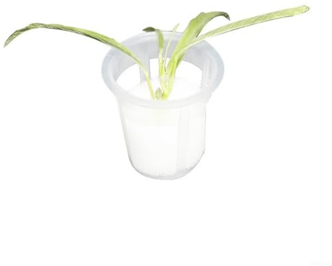 50 cestini per piantare piante in rete di plastica, per piantare piante da giardino (30 x 35 mm)