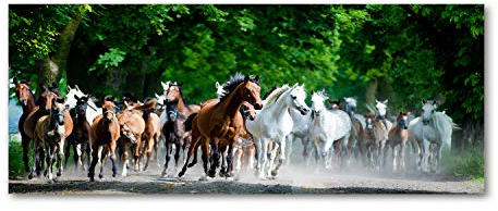 Tulup Leinwandbild - Wandkunst - Drucke auf Leinwand - Leinwanddruck -125x50 cm - Tiere - Mehrfarbig - Pferde im Galopp