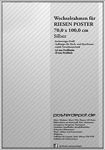 Bilderrahmen in Silber, passend für Riesen Poster (70 x 100 cm), hochwertiges Aluminium-Profil mit Acrylglas-Front