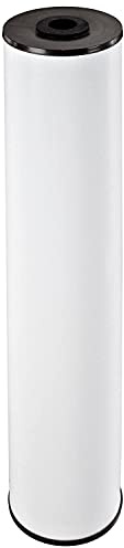 Pentair Pentek RFFE20-BB Big Blue Water Filter, 20-Inch, Whole House Radial Flow Iron Reduction Replacement Cartridge, 20 x 4.5, White