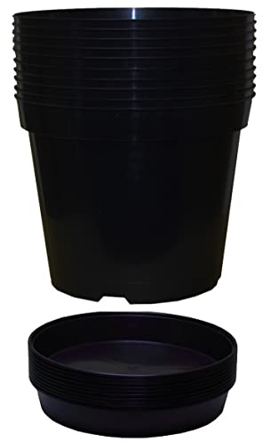 Muddy Hands Pack of 10 Black Plastic Plant Pots + Saucers - Outdoor Garden Round Nursery Herb Flower Planters Base Water Drip Trays (7.5 Litre)