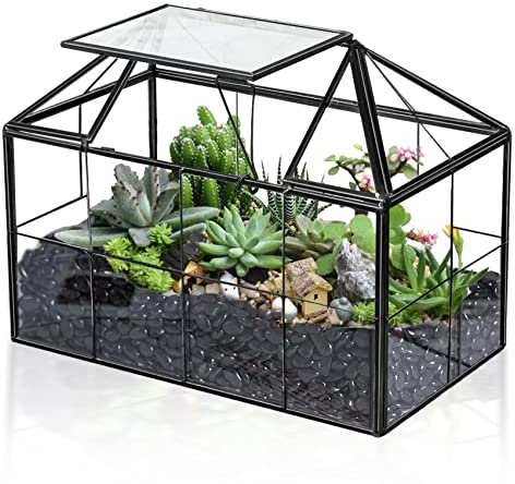 LIMOR 9.1 House-Shaped Succulent Glass Terrarium, Ideal for Gifting | Lead-Free Ultra-Clear Glass Brass Frame, House-Shaped Swing Lid, Tabletop DIY Succulent Decor, Ideal Gift for Plant Lovers