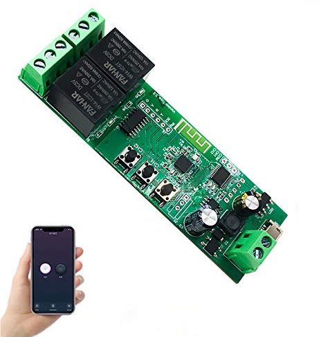 Newgoal Module de relais de commutateur intelligent WiFi 2 canaux, application TUYA/Smart Life pour la télécommande de la maison intelligente, compatible avec Alexa/Google Assistant