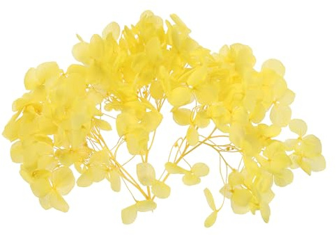 PATIKIL 10g Flor de Hortensia Seca Flores Naturales Prensadas Amarillo | Pétalos de Hortensias Reales, para Manualidades de Resina DIY Tarjetas Florales Regalos