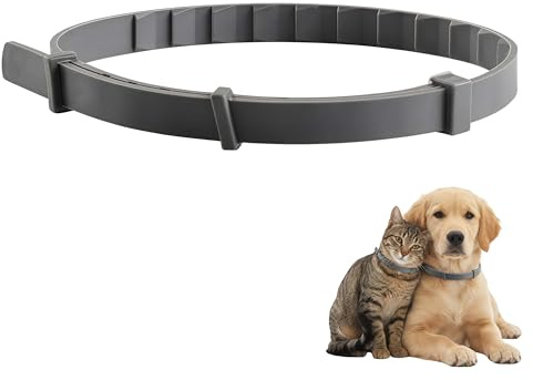 Bella balu ZECKEFREI für Hunde Katzen – Verstellbares Schutzhalsband gegen Zecken und Flöhe (Grau,Katze(38cm))