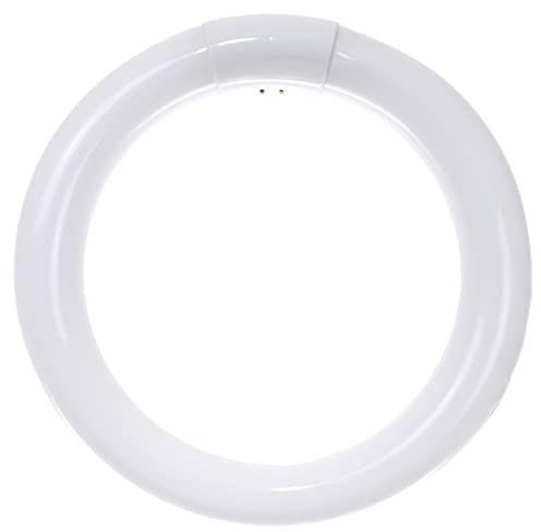 Sunlite 05020 FC8T9/DL T9 Round Fluorescent Circline Lamp, 22 Watts, 1050 Lumens, 6500K Daylight, RoHS Compliant, G10Q 4-Pin Base, 1 Pack