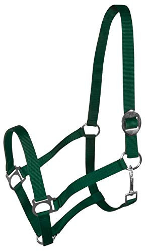 York Nylonhalfter Halfter Genickstück Verstellbar durch Schiebeschnalle Harmony Pferdehalfter (Full, dunkelgrün)