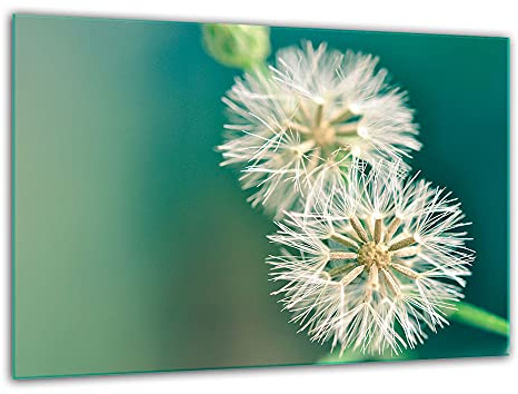TMK ArtDeko – Schneidebrett Glas – Glasschneidebrett für die Küche 30x22 cm – Robust, Hygienisch & Rutschfest – Glas Schneidebrett – Zusätzliche Arbeitsfläche – Vielseitige Nutzung