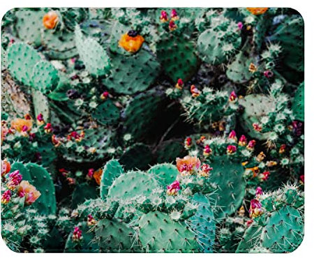 Tapis de Souris Simili Cuir Opuntia en Fleur Cactus Raquette en Fleur (22 x 18 cm)