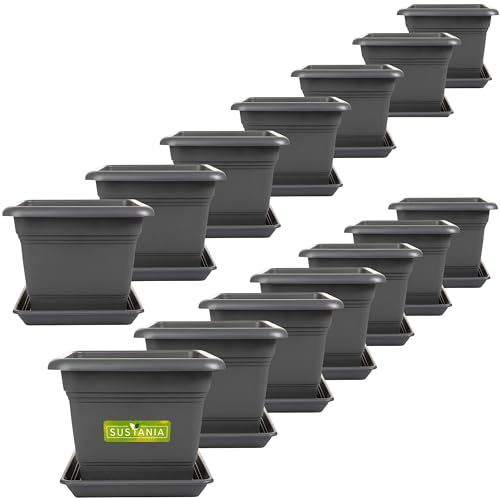2friends Sustania Pots de Fleurs carrés 28x28 Anthracite, 14 pièces - Pot de Fleurs Robuste, idéal pour Les Plants de tomates, Pots de Fleurs carrés en Plastique pour Le Jardin et Le Balcon.