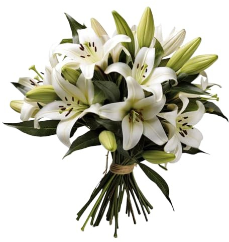 DECOALIVE | Ramo Lirios Blancos | Bouquet 10 Flores | Liliums Blancos Naturales y Frescos