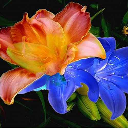 Lilium Candidum bulbi,Profumato,Perenni,Perfetto per le vacanze,Da piantare in giardino,Giglio bulbi,lilium bulbi giganti(Steli grandi,senza semi,non artificiali)-6bulbi-I
