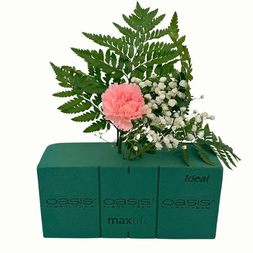 Homeland Florists Oasis Flower Foam Single (1) Block, Green, 22x11x7.5cm