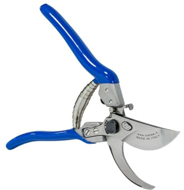 PATERLINI Forbici Potatura Professionali - Cesoie da Giardinaggio Affilate per Potatura Facile, Ø 25mm di Taglio - Attrezzi Giardinaggio, Forbice da Frutteto per Innesto e Tagliare Rami (Master Big)