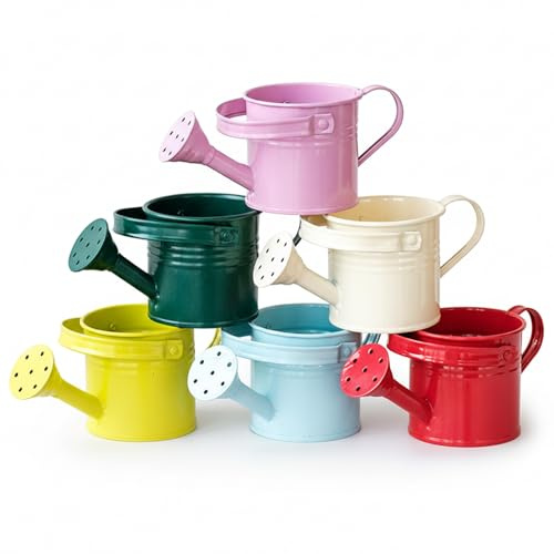 Set mini annaffiatoio da 6 pezzi, piccoli bollitori in metallo, annaffiatoio piccolo con beccuccio lungo, brocca in metallo per artigianato, feste a tema giardino e decorazioni per la casa