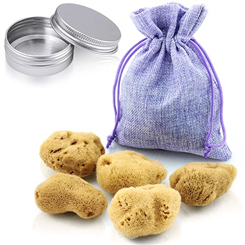 tom&pat Menstruationsschwamm, Alternative zu Soft-Tampons, Dermatest: Sehr gut, Wechseldose für unterwegs, Naturschwamm als Perioden-Schwamm, waschbar & wiederverwendbar (Gr. M, 5 x 5-7 cm)