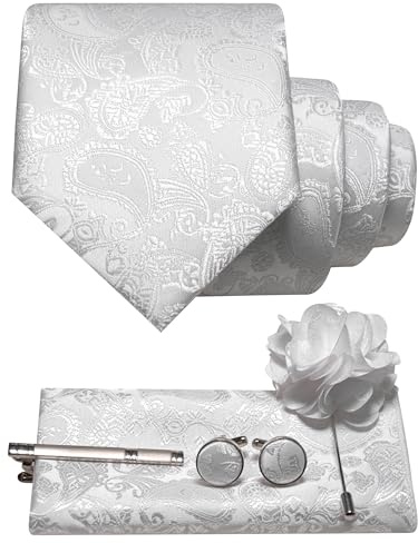 JEMYGINS Herren Paisley Krawatte mit Einstecktuch Krawattenklammer Blumenbrosche und Manschettenknöpfen Set