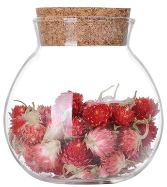 Luftdichtes, klares, rundes Glasgefäß mit Kork, Tee-Behälter, Vase, Öko-Flasche, kleine Kugel, Moos, DIY-Kanister für Küche, Aufbewahrung, Heimdekoration, 500 ml