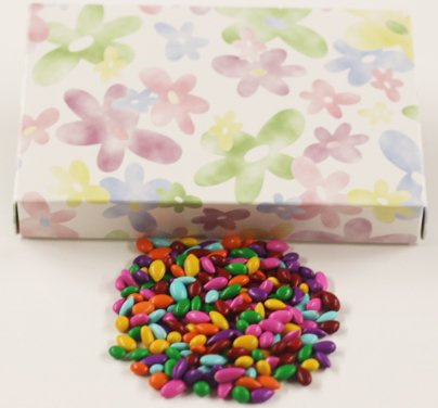 Scott's Cakes Rainbow Mix Chocolate Covered Sunflower Seeds in a 1 Pound Daisy Box