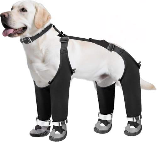 Hundestiefel mit Hosenträgern, wasserdichte Regenstiefel für Hunde, Warme Schuhe für den Winter, Verstellbare Anti-Schmutz-Hose mit integrierten Pfotenschützern für Outdoor-Spaziergänge (M)