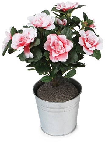 Closer2Nature Artificial 27cm Red Azalea Plug Plant, Faux Flowers Decoration Plants for Indoors in Home, Kitchen, Lounge and Office or Outdoor Foliage in Garden - Pot Not Included