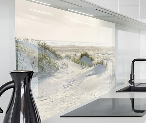 timalo Spritzschutz Wand für Herd, Küche Küchenrückwand Glasoptik | Acryl Glas 2mm | Glasrückwand Acrylglas Wandpaneele Rückwandschutz Platte | 80x60cm Meer Dünen Schilf