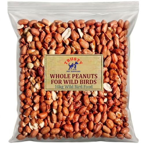 Peanuts for Wild Birds 10kg | Bird Peanuts & Wild Bird Food | Whole Premium Peanuts for Birds | High Energy Bird Nuts | Trusty Pet Supplies