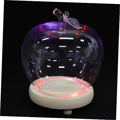 ORFOFE Apple Glass Cover Glowing Base for Christmas Eve Apples Display for Home Decor Includes Base Glass Dome Shape Great for Flower Displaying Micro Landscape Crafts