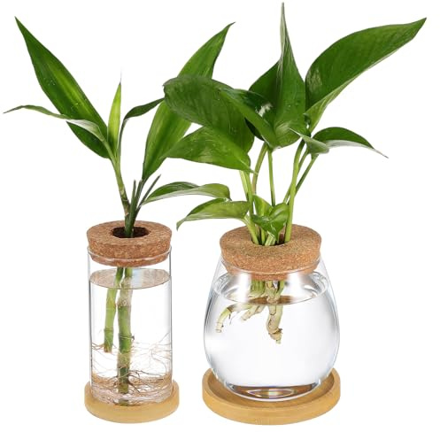 Levemolo 2 pièces Vase Hydroponie Verre Borosilicate avec Couvercle Liège Percé et Plateau Pot Propagation Plantes Intérieur Décor Micro Élégant pour Bureau et Maison