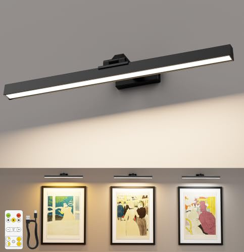 LABOREDUCER Luces de imagen para pared, 6500 mAh, funciona con pilas, con control remoto, luz de imagen recargable para interiores, regulable y 3 temperaturas de color para marco de diana