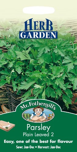 Mr Fothergill's 11399 Herb Seeds, Parsley Plain Leaved 2
