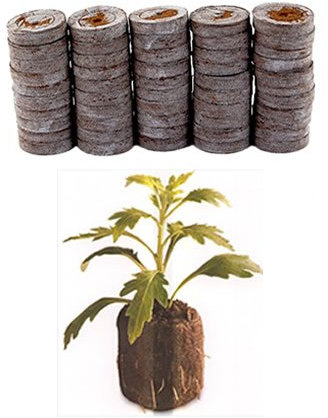 Lot de 50 pastilles de tourbe Jiffy 7 - Pour semis en intérieur - Facile à transplanter dans le jardin - 36 mm