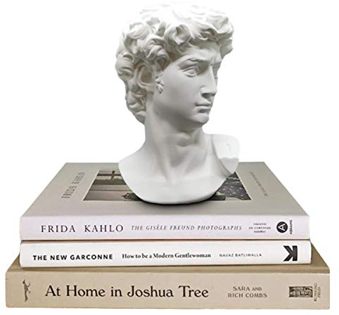 Estatua griega de David, busto de cabeza para mitología y decoración romana del hogar