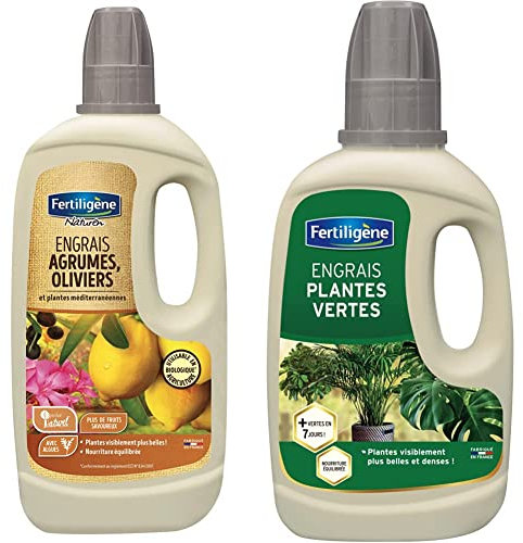 Fertiligène Engrais Agrume Olivier et Plante Méditerranéenne Bio, 750 ML & Engrais Plantes Vertes, 400 ML